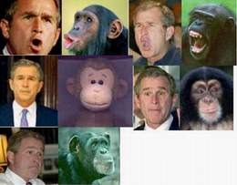 Apeman